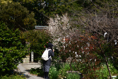 220222c京都御苑08