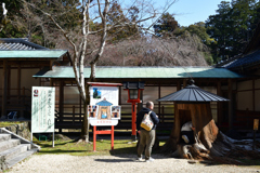 260301b大原野神社50