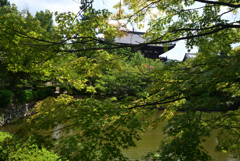 210730萬福寺17
