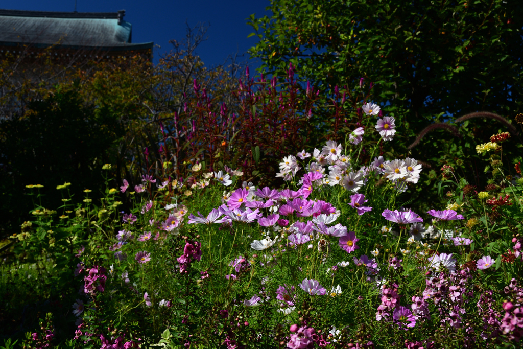 2501023びわ湖大津館13