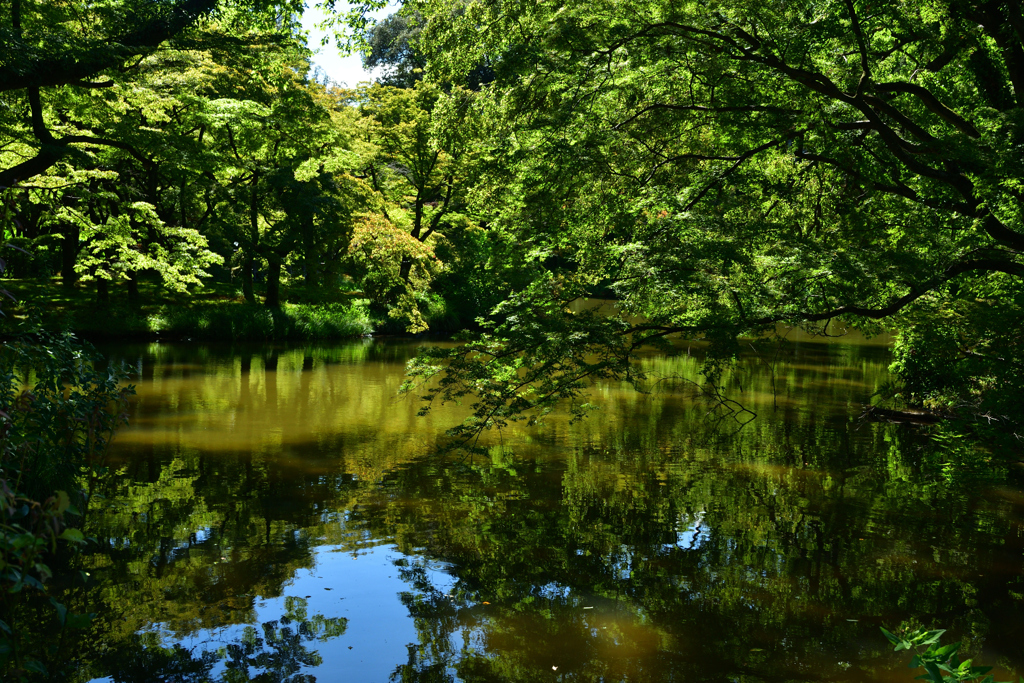 250902京都植物園41