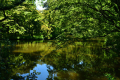 250902京都植物園41