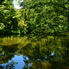 250902京都植物園41