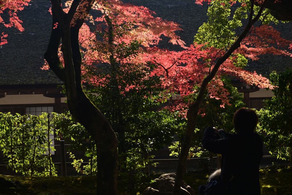 181127d上賀茂神社33