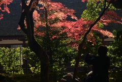 181127d上賀茂神社33