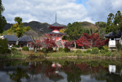 191130b大沢池06
