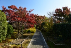 181125a妙心寺04大通院