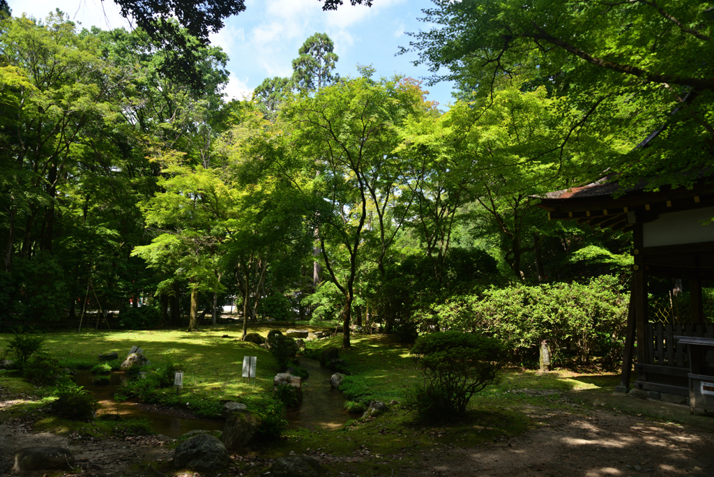 220915a上賀茂神社21