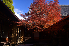 241208a西陣興聖寺19