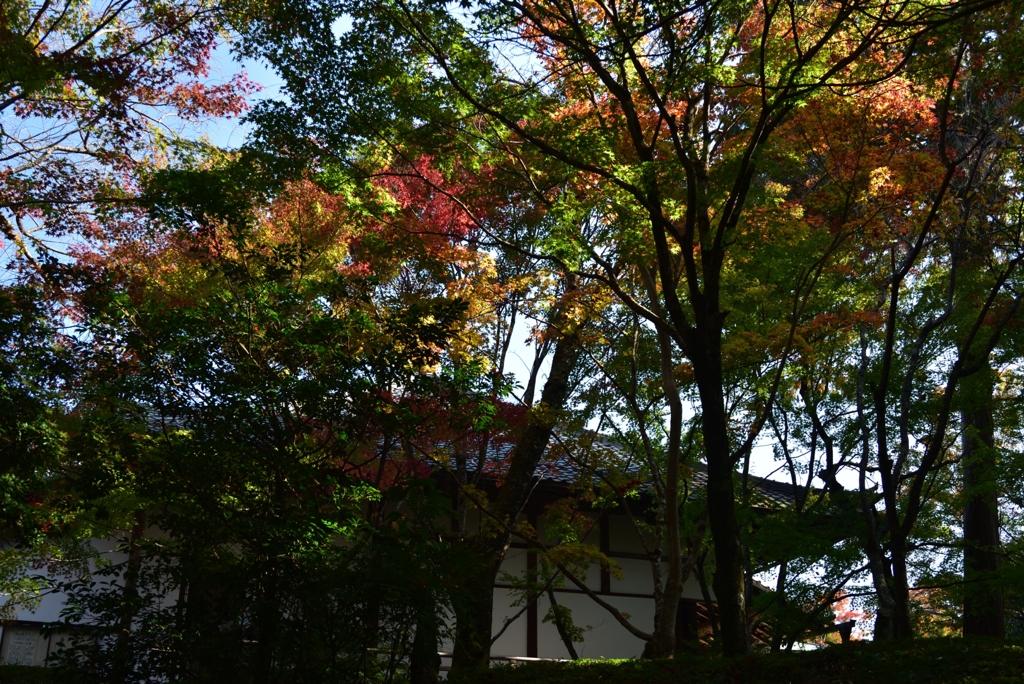 181111a常照寺17