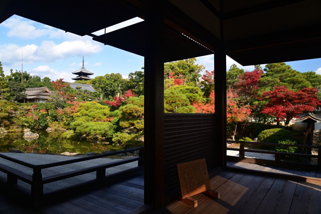 221116d仁和寺42