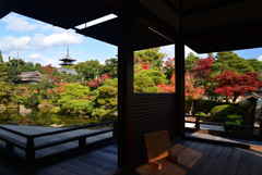 221116d仁和寺42