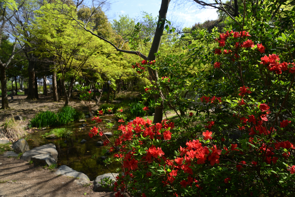 220412g梅小路公園15