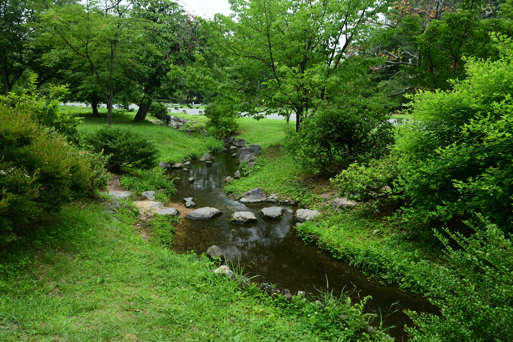 250701京都御苑11