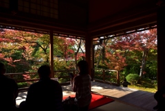 181125a妙心寺大法院29