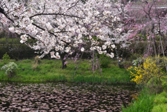 200403d山崎聖天46