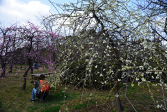 190221長居植物園04