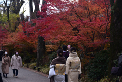 241215b下鴨神社35