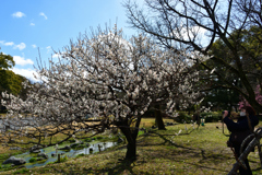 230221d京都御苑14