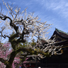 250314a北野天満宮20