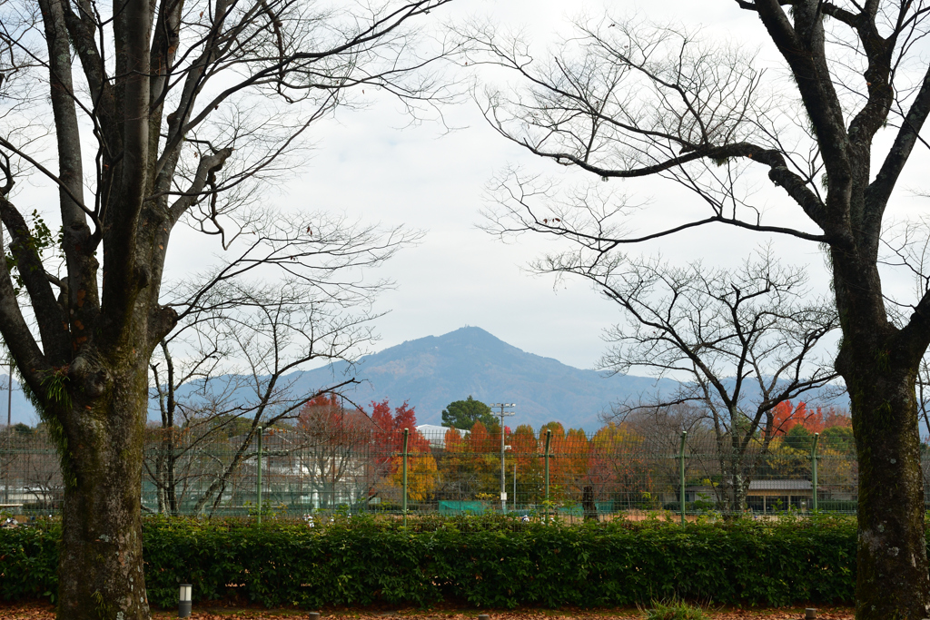 251207a京都植物園01