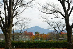 251207a京都植物園01
