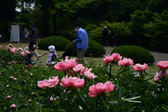 220503d京都植物園11