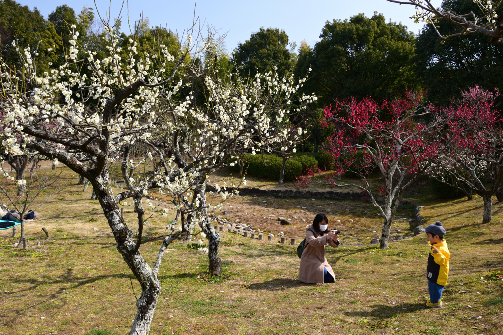 220305a山田池公園27