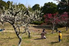 220305a山田池公園27