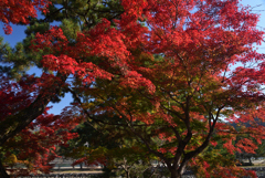 211126b宇治川10