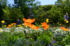 230427京都植物園03