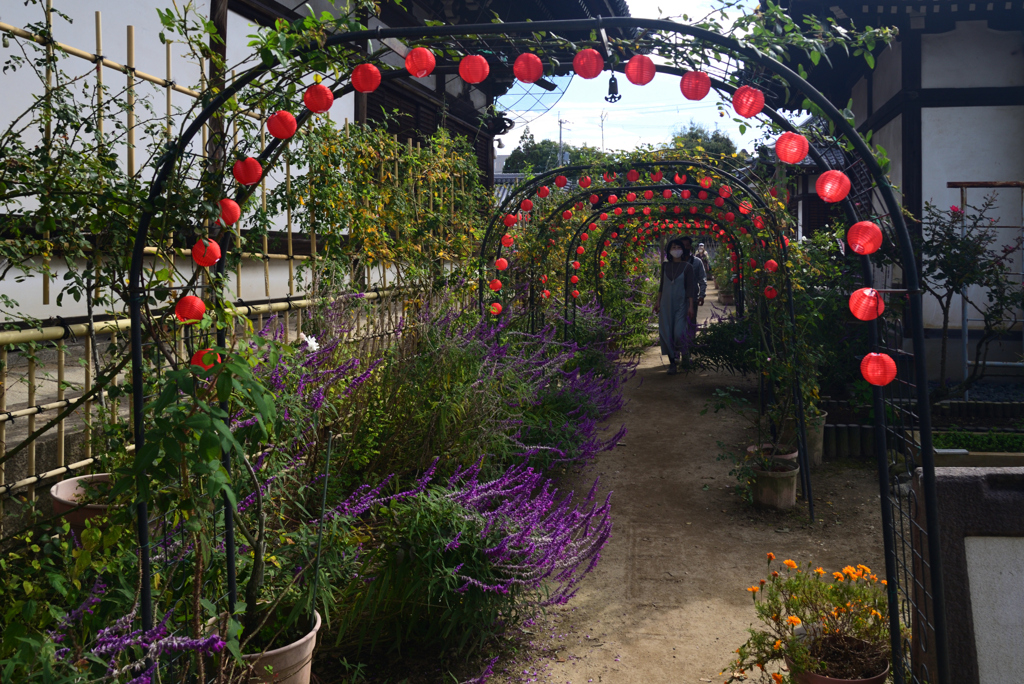 221021bおふさ観音08