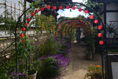 221021bおふさ観音08