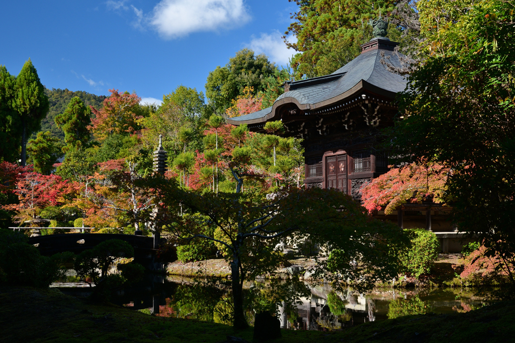 231114a清凉寺09
