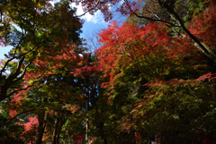 201115a室生寺28