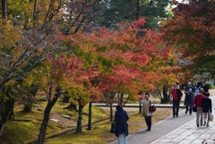 181115a仁和寺40
