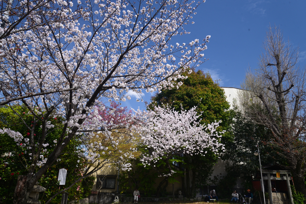 240407e長建寺06