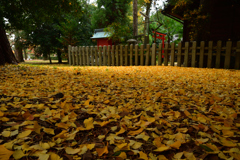 251128京都御苑20