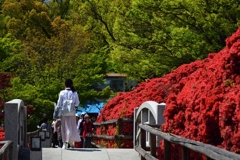 180419b長岡天満宮28+