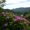 210620長谷寺36