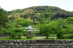 250509b宇治川06