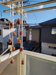 251129干し柿