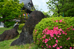 250530智積院20