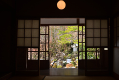 250210c大原宝泉院35