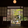 250210c大原宝泉院35