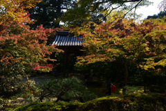 231102c西明寺30