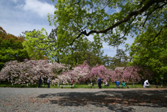 220416d京都御苑09