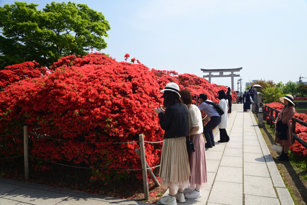 220423長岡天満宮18