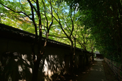 230905c蘆山寺30