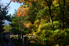 241114a清凉寺10